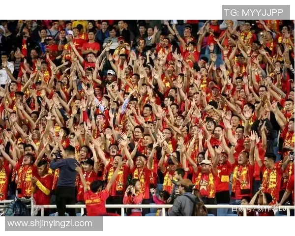 张家口足球明星的崛起之路与未来发展展望